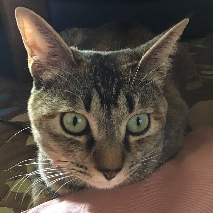 Ed43a336 9e4f 44da b884 22086f7b5bca 1588165324907