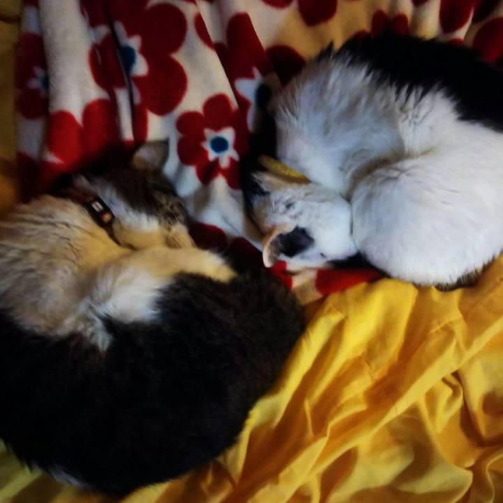 Ed43be85 8eb8 4cfa 86cb 7e594293aca9 1551538739832