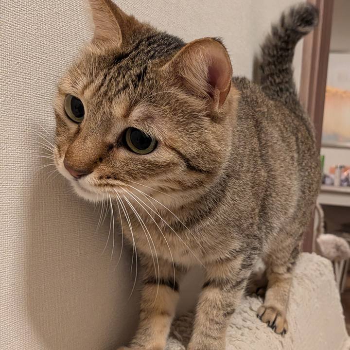 Ed442438 586e 4d1f abdd 144a7bb7783d 1764106146343