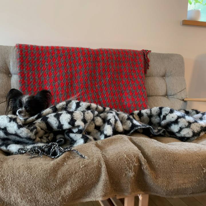 Ed4438a6 e925 4b8c 8eaa b42a4264232d 1590663922503