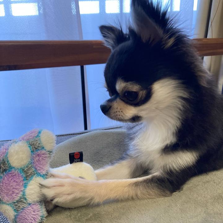 Ed444a83 6e36 4ad1 8875 38fb1dab9e74 1632145350908