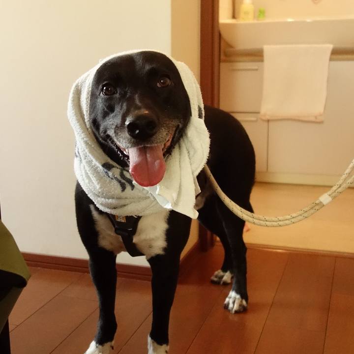 Ed445aa1 c2bf 417c a7b1 51a583e29183 1652872284468