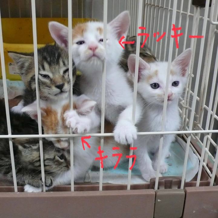 Ed446bd1 2778 46e8 beee c3380ad9c059 1632060812528