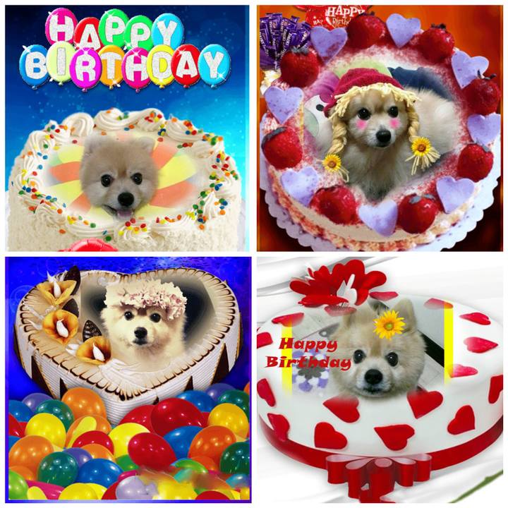 Ed447ff1 655b 45e0 859b 69e0fe42901e 1521472487661