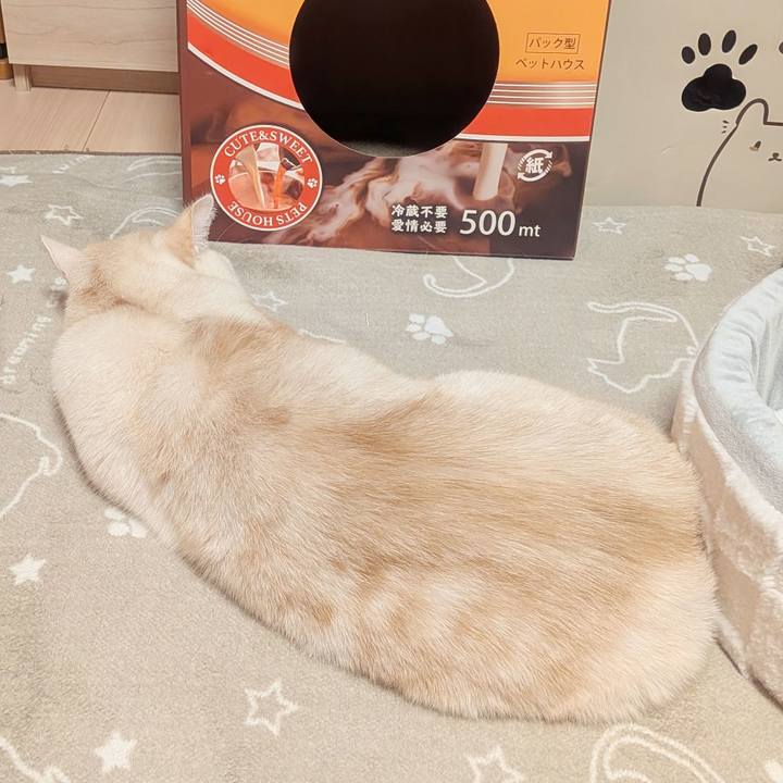 Ed44c8b5 a1cc 4ad9 b61d 37279c4fe36f 1768911802470