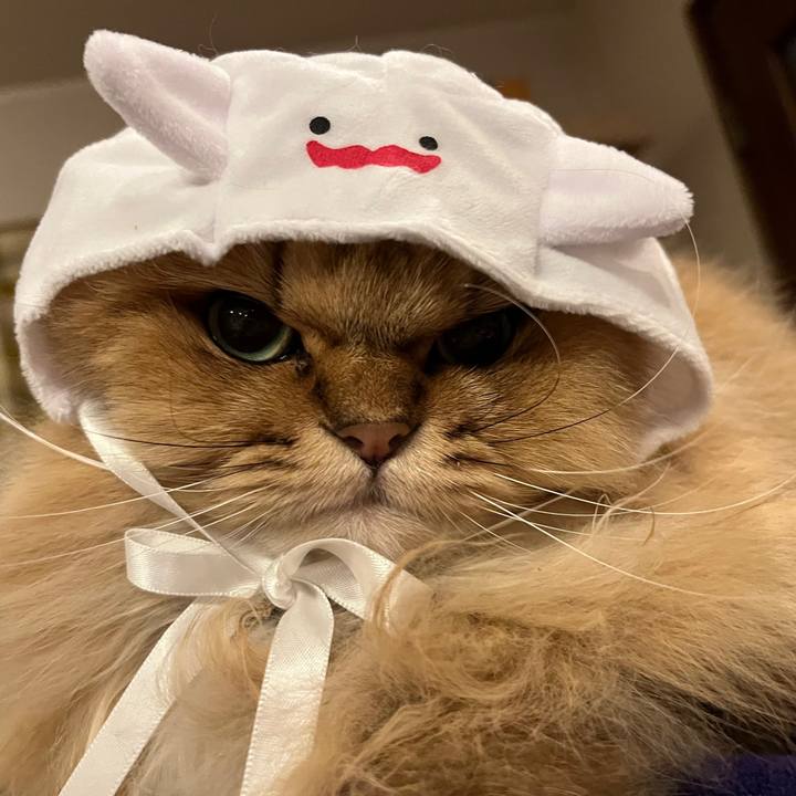 Ed44cf5e 4d05 447a babf 34b803b9d750 1667215738937