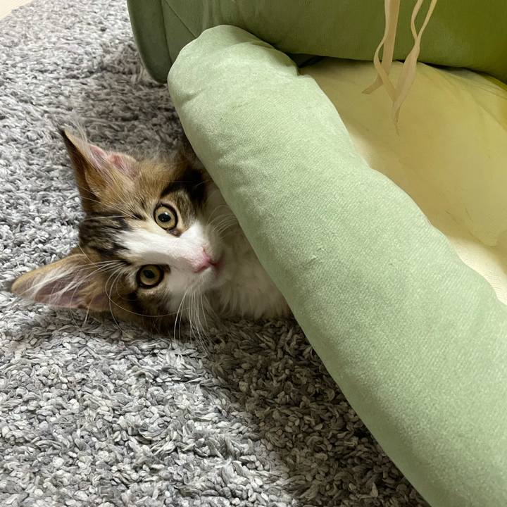 Ed44f58e d7ea 451d 9489 ff726ea47306 1632485788597