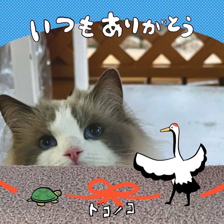 Ed45ab55 ff49 4964 bb16 964fe530e025 1727081285053