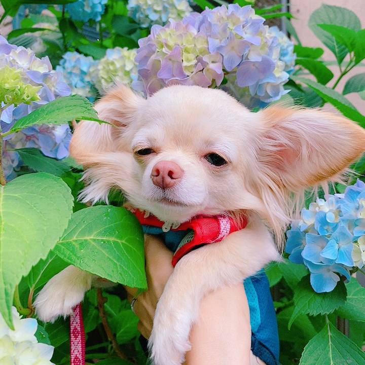 Ed45ae44 2fa2 4780 b709 ab4a2d908655 1621846248395