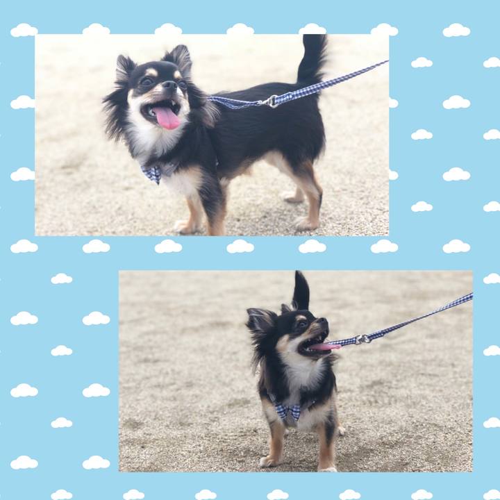 Ed45e83c 00ba 4b76 a45a 4b1b63bfd8cd 1557986295612