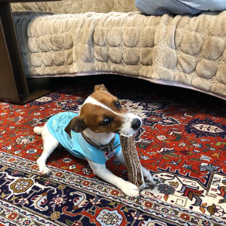 Ed45eec6 8c12 4f1f 941c 0336eecb0c26 1529924419888