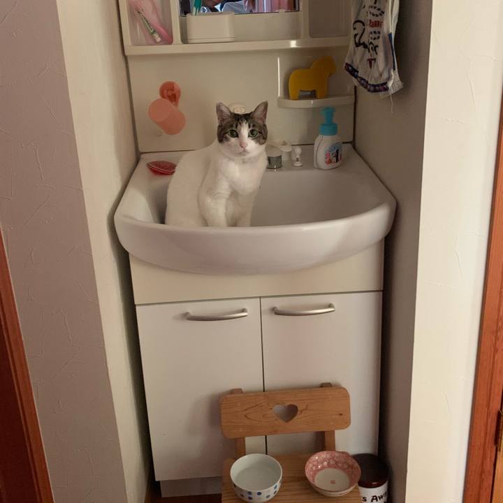 Ed45ffe6 5498 4d32 bbaa 2d52d3434dad 1567574563132