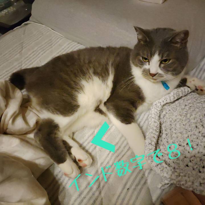 Ed460efe 7182 4553 89dc 361fa23a57fe 1717680687936