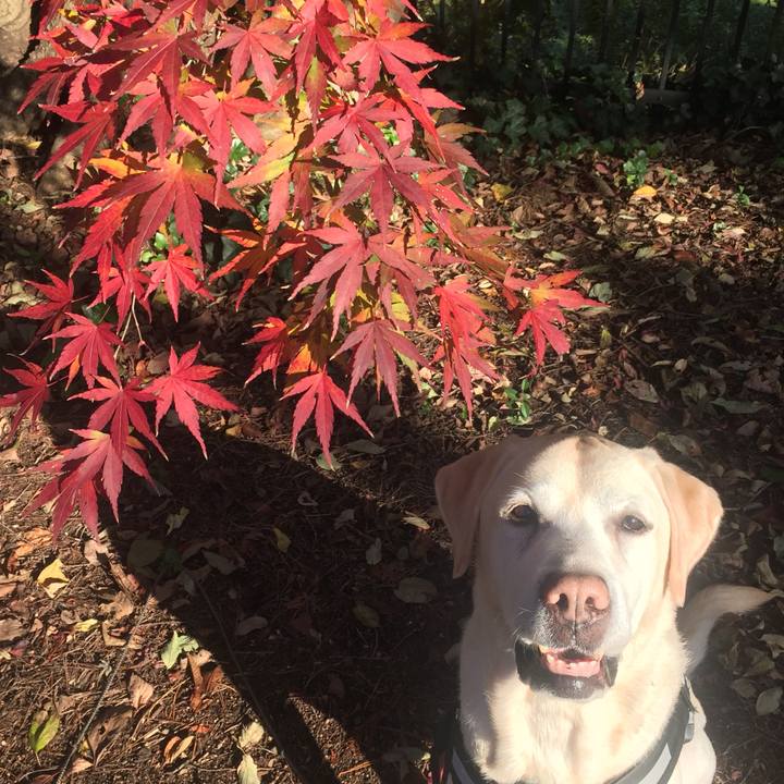 Ed46147f f8af 4f6e 8b1e d84eee21a2b5 1575360685038