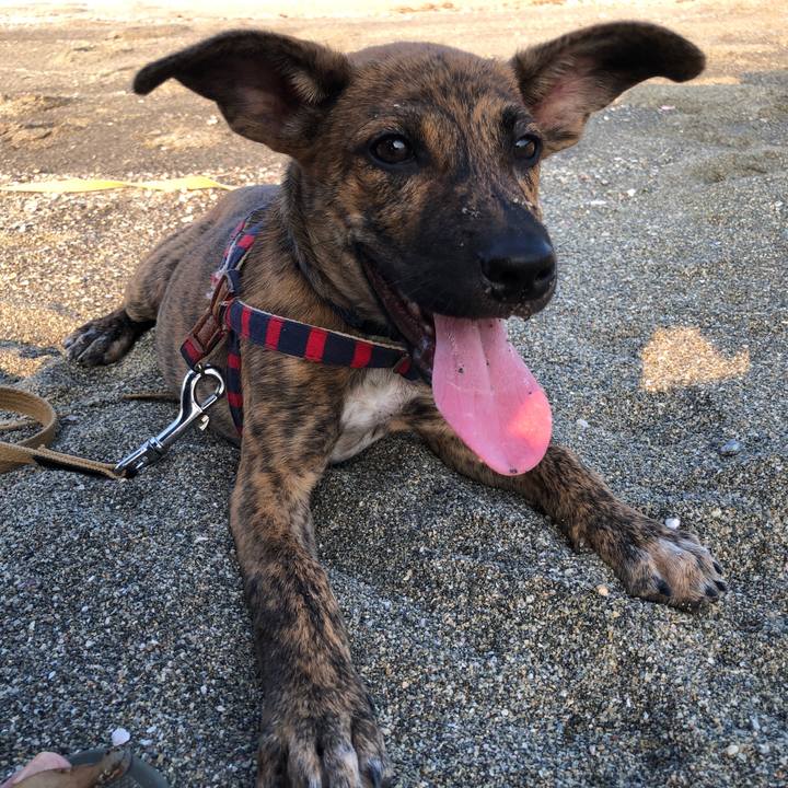 Ed4627d7 b88e 4596 ad09 a50a9d1175f5 1568532928005