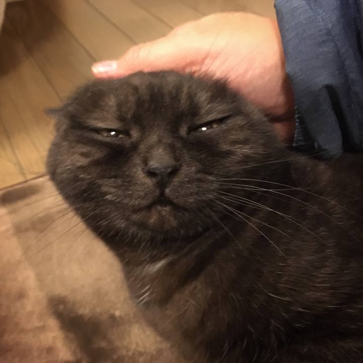 Ed462c6d bcdf 46d0 931d d1374fe26a9e 1582035967500