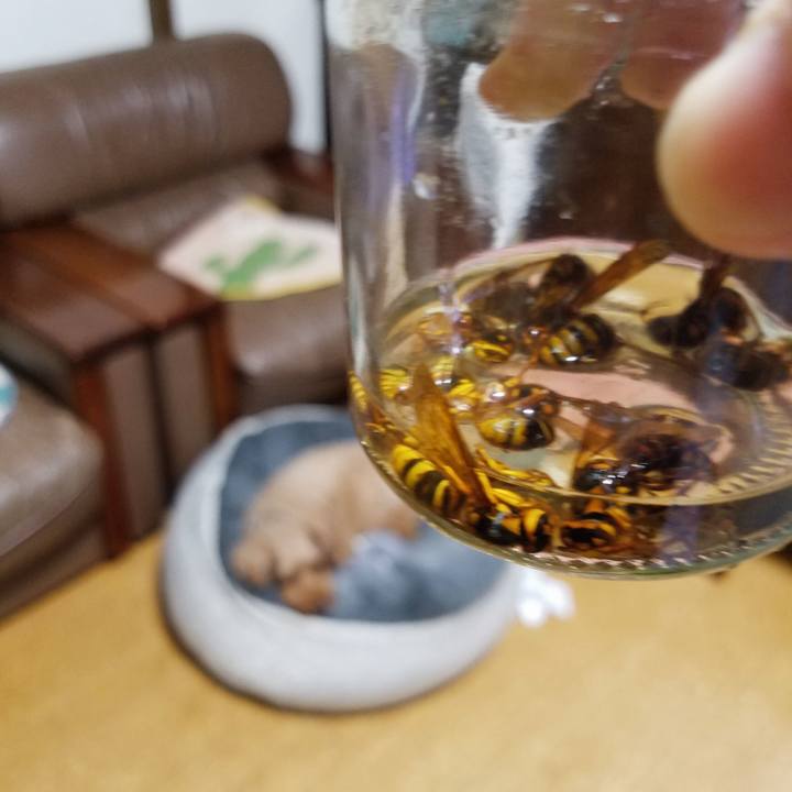 Ed46794d b345 4618 b6a4 7426c4bd1bd0 1564755720567