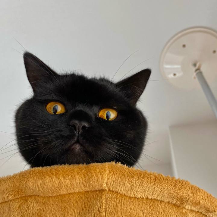 Ed468024 0ed8 4aa8 9824 4e24b1f02cf5 1606172609444