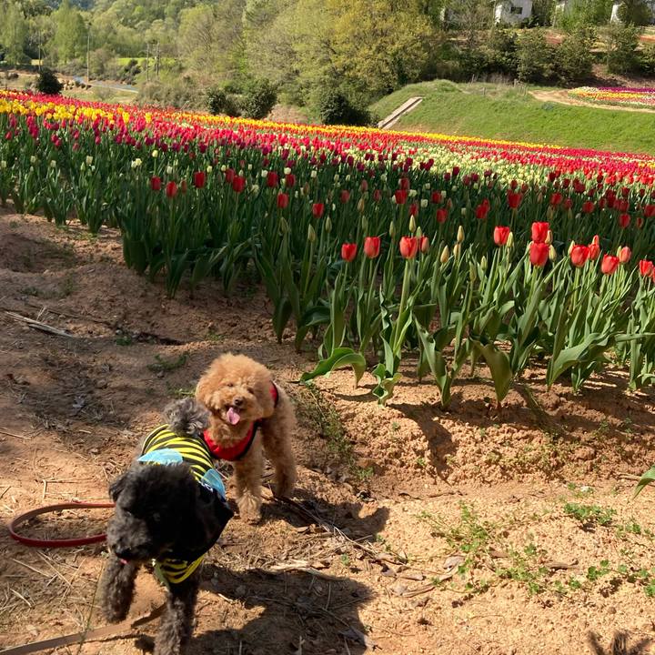 Ed46810b ee13 44f3 9435 8f80aff3ab6c 1619180272679