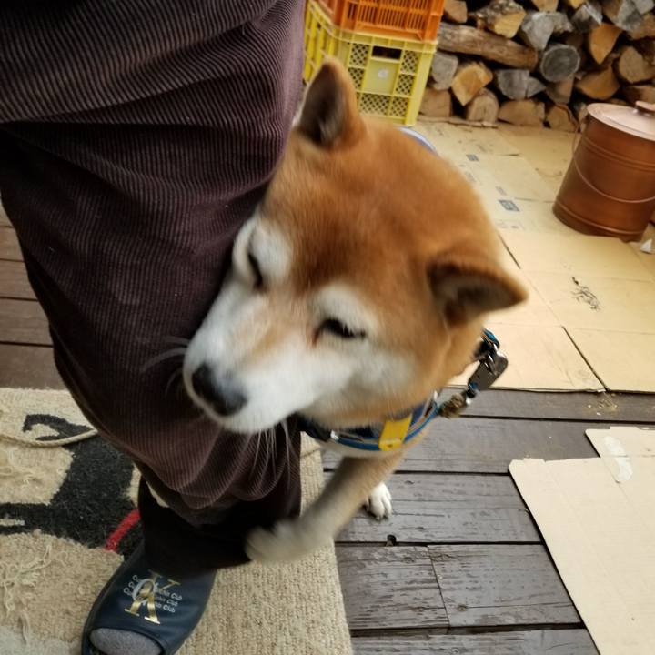 Ed469b28 df3d 45ae 89a8 a13a739b8b5a 1549518132121