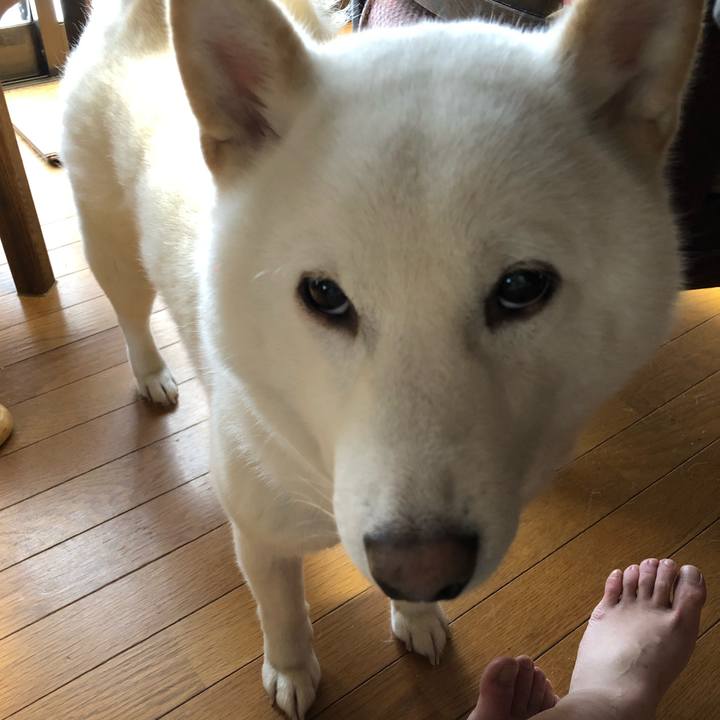 Ed46d530 81aa 4d83 a97b 8cdf1b91f971 1576365686041