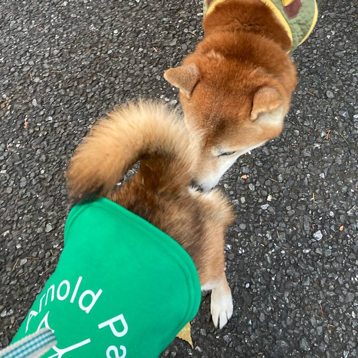 Ed46f25e 9b23 4910 a70b c7471a1c857f 1733905062465