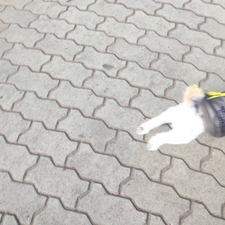 Ed475353 fdce 472e 9c49 c39eac7ee31f 1513502320814