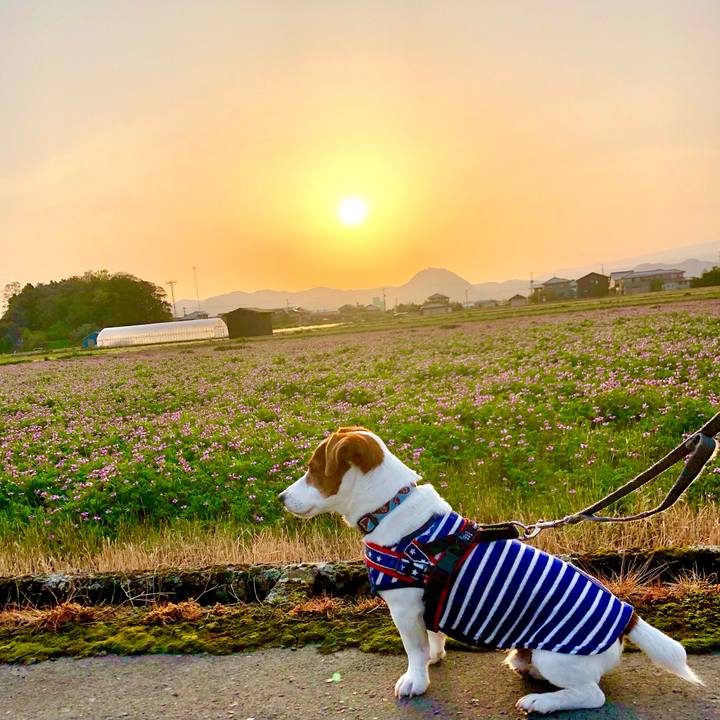 Ed47ab1c ad40 4c8e a0a2 e437c3296a65 1681779977439