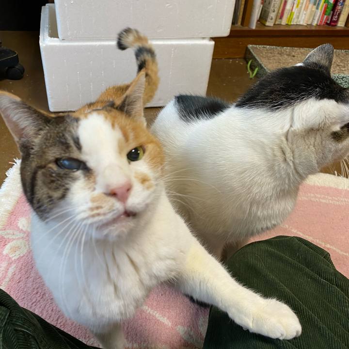 Ed47b1d8 bd45 4196 9e2f 73b9b348d661 1640085939377