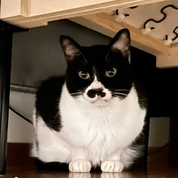 Ed47d87e 98b8 48ee 82fb 792094042710 1673531804441