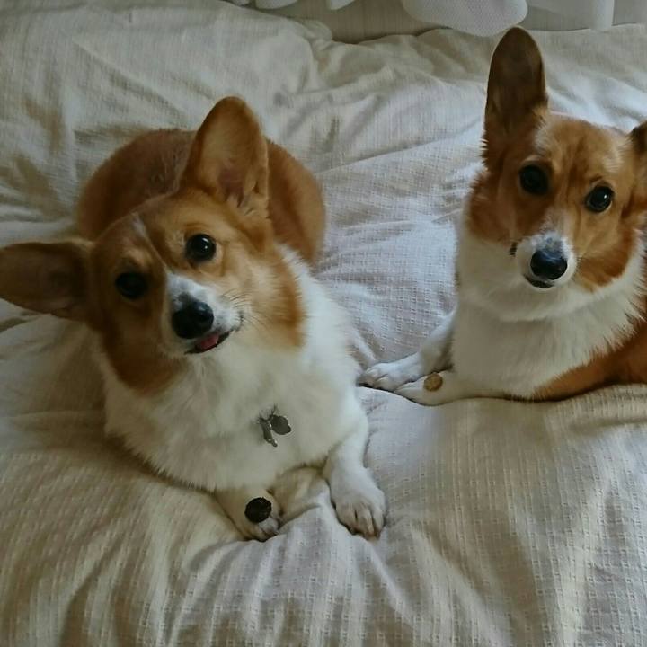 Ed47ff9c 019d 40cd b507 456a92cb363b 1509693224660