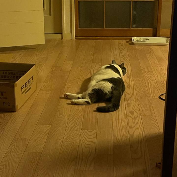 Ed484552 f4f0 4b07 8765 e743e6317fe7 1659712763133