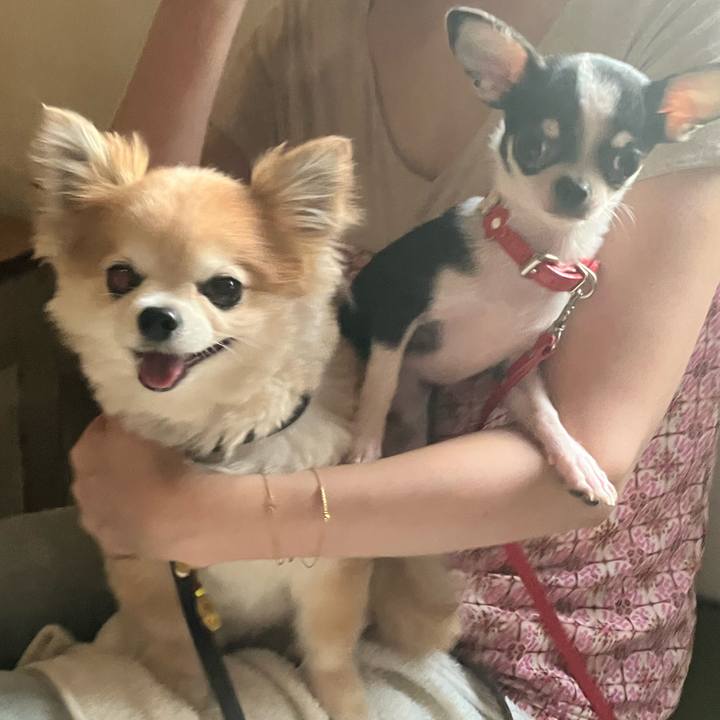 Ed484a40 8b12 4b29 8ae0 d5c9bdb5c5f2 1753139152237