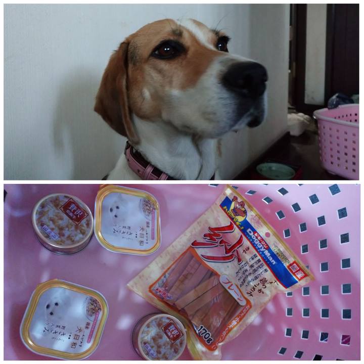 Ed4856a1 87c5 452f b18b f0f8609e18ff 1601525749034