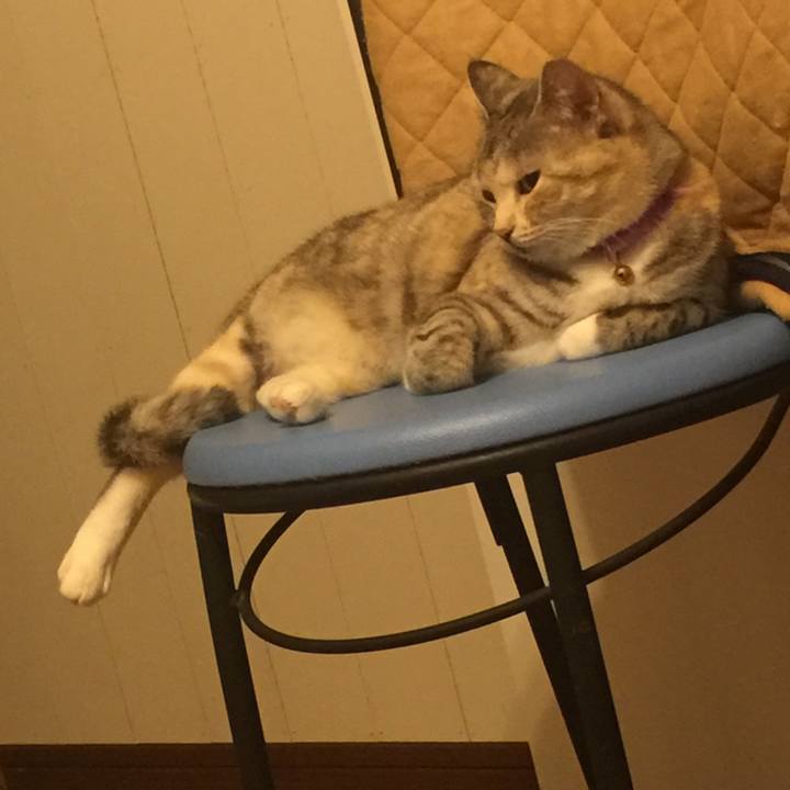 Ed48634b c69f 4b25 b7b2 002613b24775 1560953835468