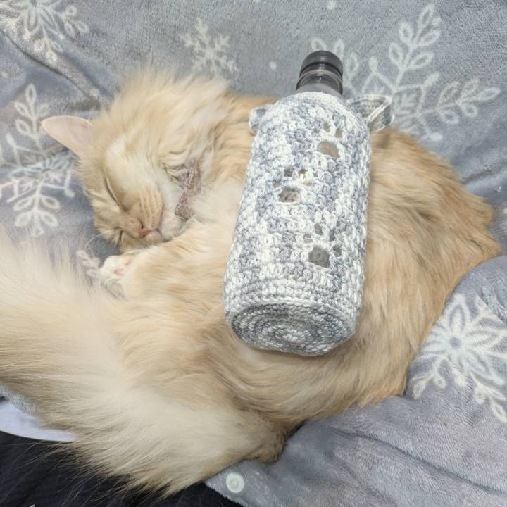 Ed4881ab 983a 4550 9b12 ab387f2b1a29 1771344346165