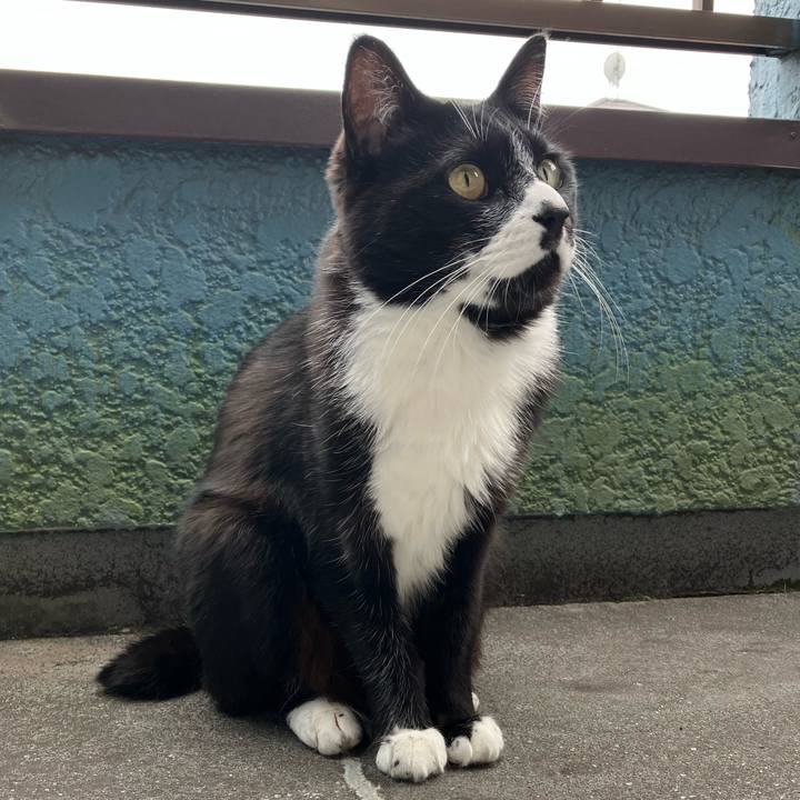 Ed489fcb 18c3 4334 8a5b e826142672a0 1754042434886