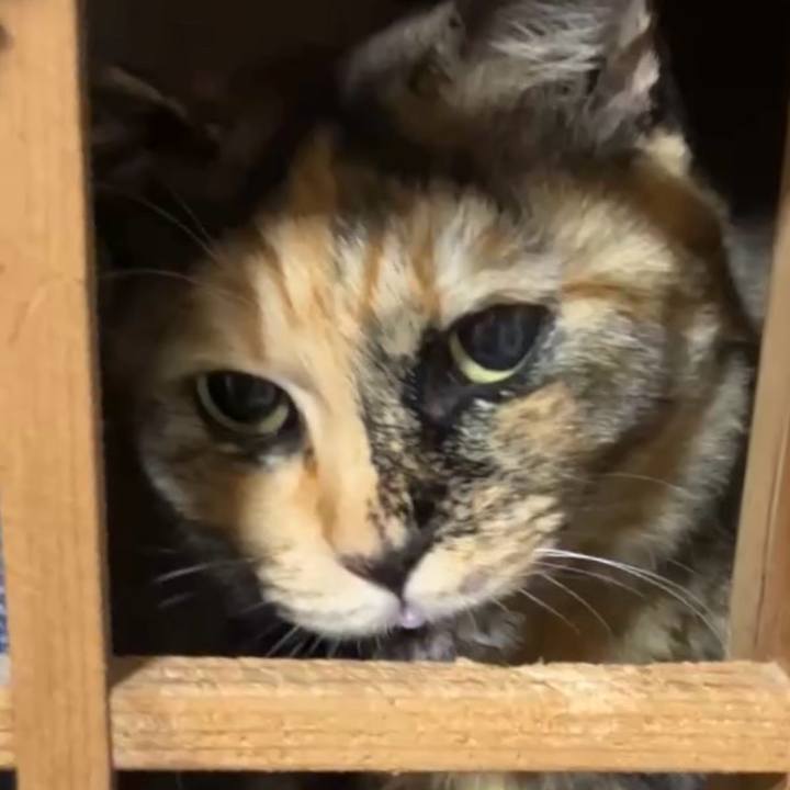 Ed48c054 bb0e 4a1a b4c2 5f35cce114fc 1736683126953