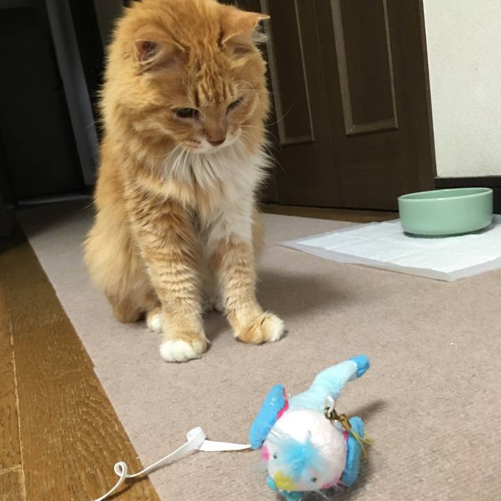 Ed48dc9e eb61 4ac2 b92d 0c1a1c153410 1524574638361