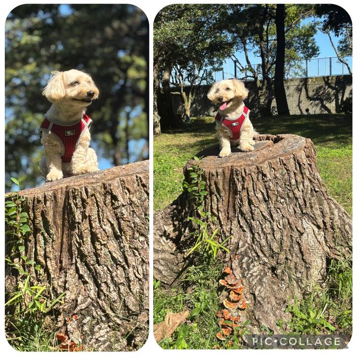 Ed491682 3c05 4f99 85bd 0d4bf85c4a40 1760673376962