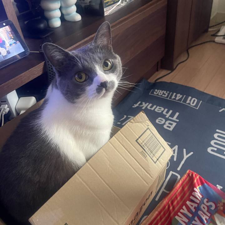 Ed4939f5 5206 4069 b175 2b88046173f9 1715559816630