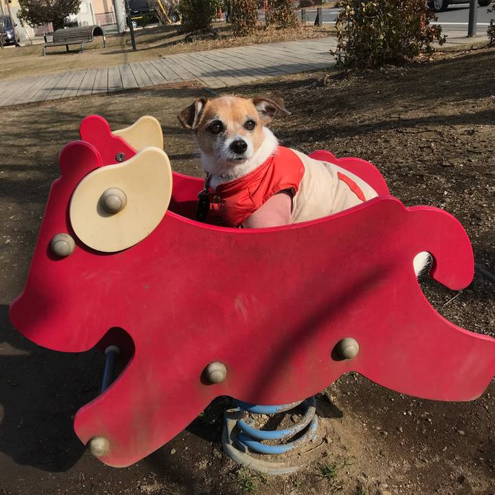 Ed495788 0bf1 4585 bec8 f107510d8bc5 1581064322041