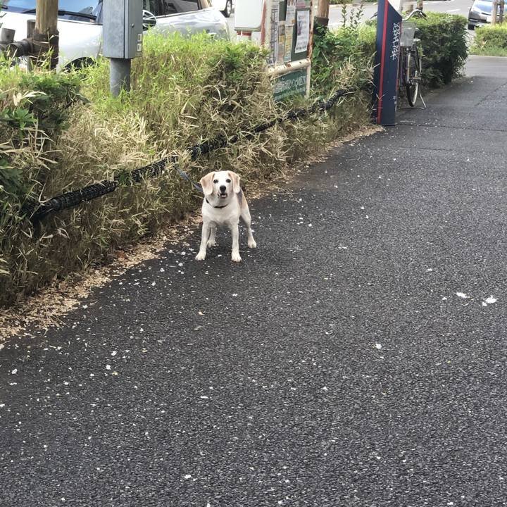 Ed497239 e5d4 4d84 a306 e6929e8d2ef4 1597897940551