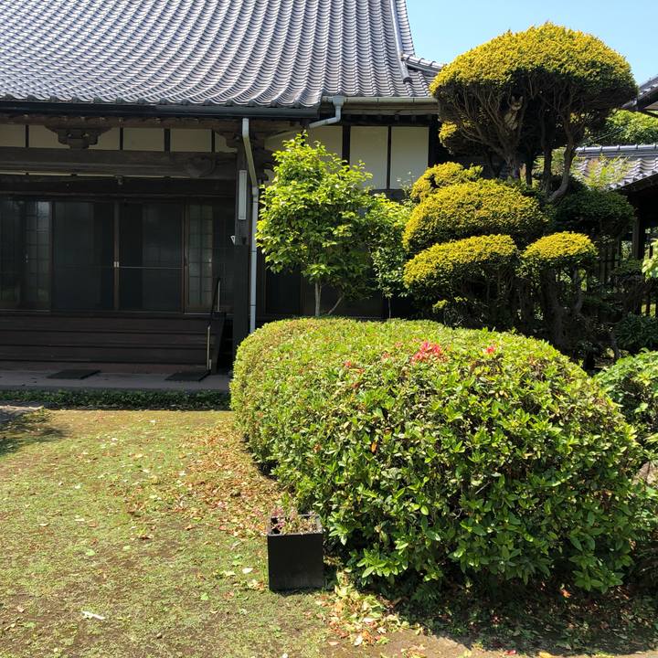 Ed498b6d 6a67 4b35 bced fbd461e9c38b 1620012096288