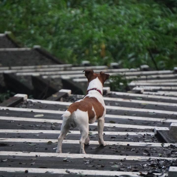 Ed49cc63 9264 48d6 8173 1853bb6822db 1509835937852