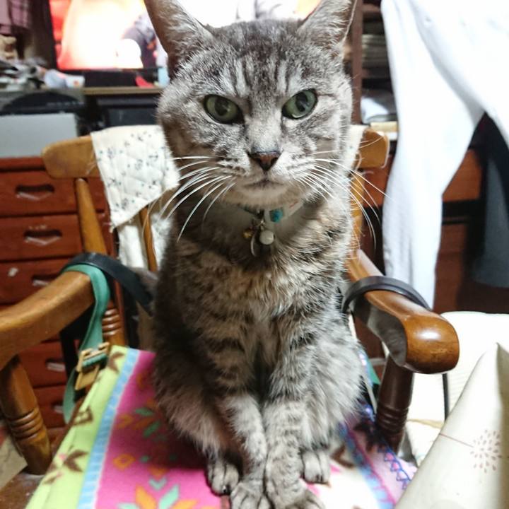 Ed49d32c 57bf 4c74 bba7 6954cfe01411 1577742879648