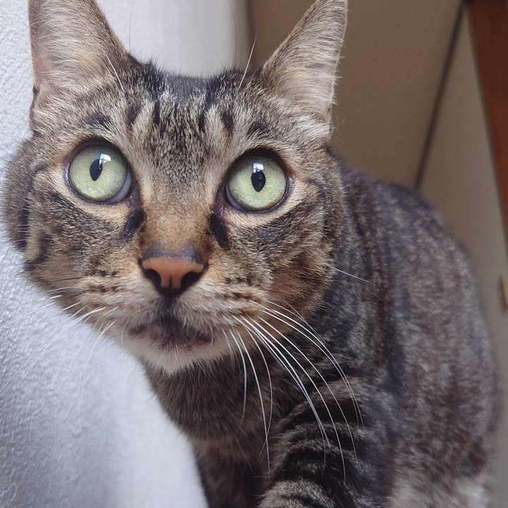 Ed49e9d4 540a 40ac bcd0 28d36a0b8385 1723890870351