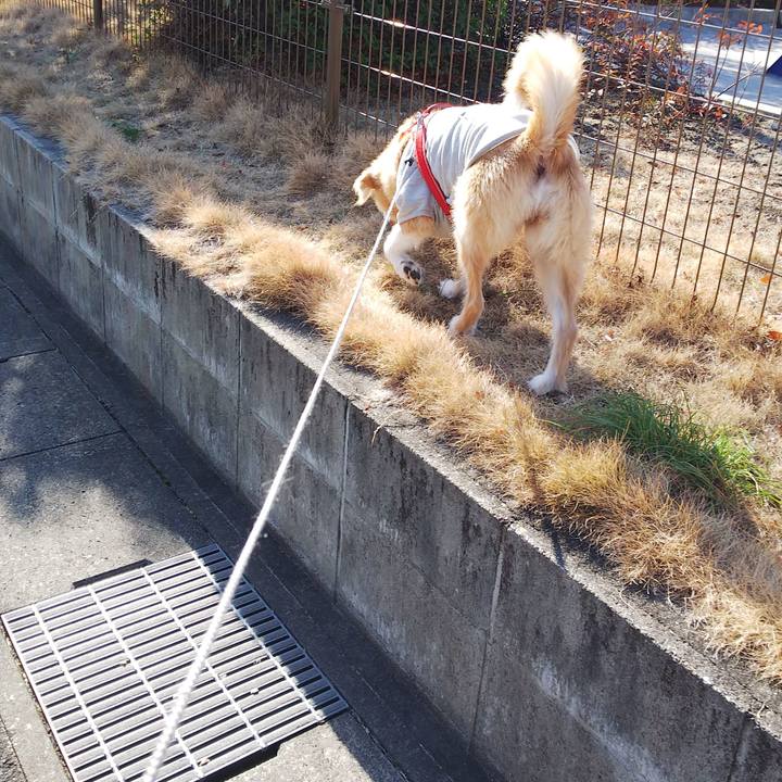 Ed4a06dd 1191 4768 9d4d 52cf05778f4f 1549436294748