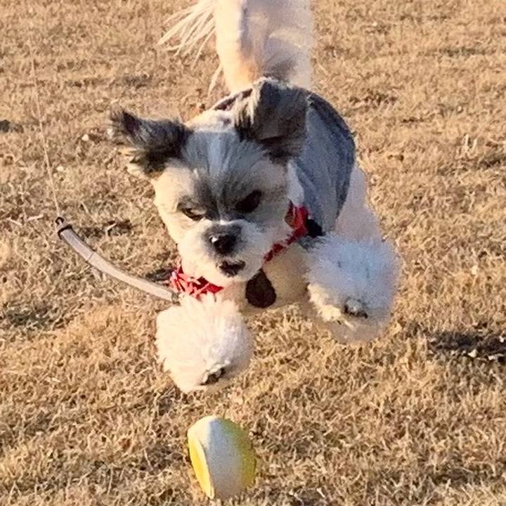 Ed4a1f1c a281 4723 8ba5 f0eb1dcdf0e0 1578784717783