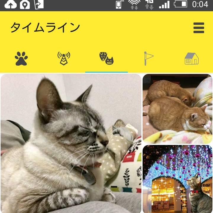 Ed4a2a1e 5ab7 4a94 873e 76aab44fac59 1544541420329